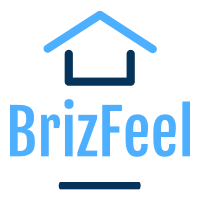 BrizFeel