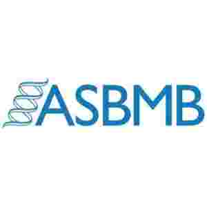 American Society for Biochemistry and Molecular Biology