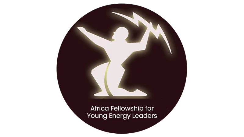 Africa Fellowship for Young Energy Leaders