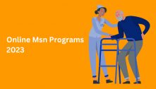 Online Msn Programs 2023