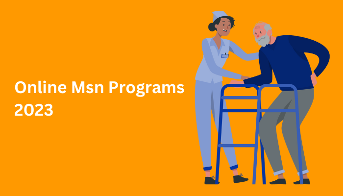 40 Online Msn Programs 2023