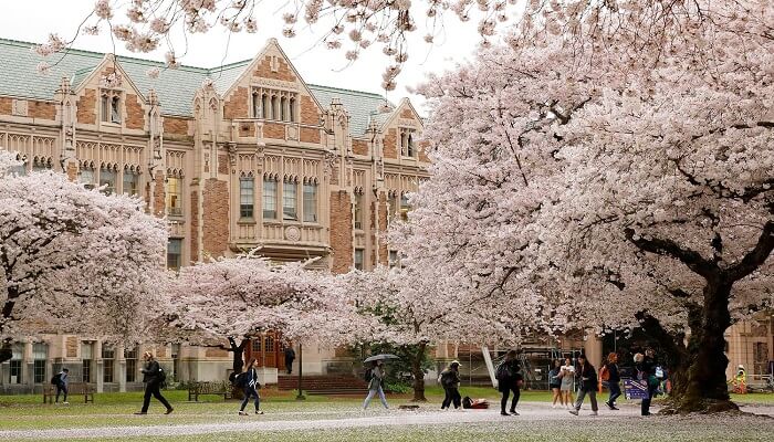 Best Medical Schools In The World