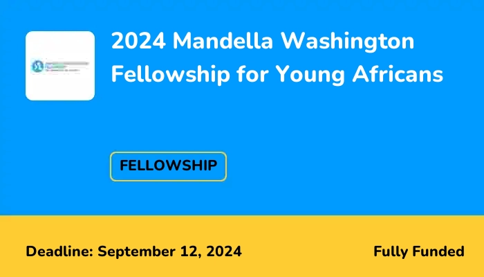2024 Mandella Washington Fellowship for Young Africans