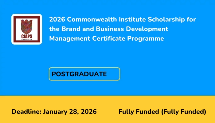 2026 Commonwealth Institute Scholarship for the Brand and Business Development Management Certificate Programme