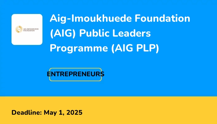 Aig-Imoukhuede Foundation (AIG) Public Leaders Programme (AIG PLP) 2025