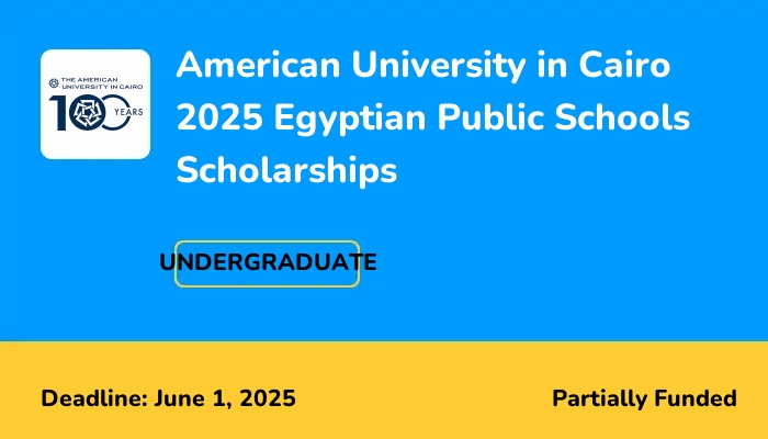 American University in Cairo 2025 Egyptian Public Schools Scholarships