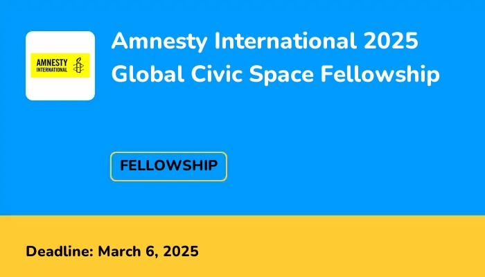 Amnesty International 2025 Global Civic Space Fellowship