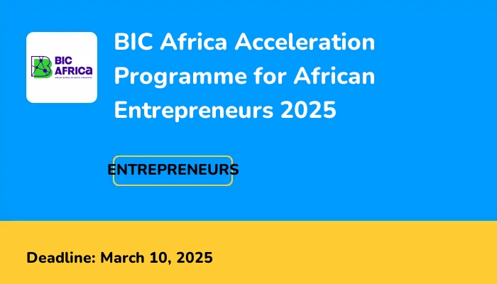 BIC Africa Acceleration Programme for African Entrepreneurs 2025