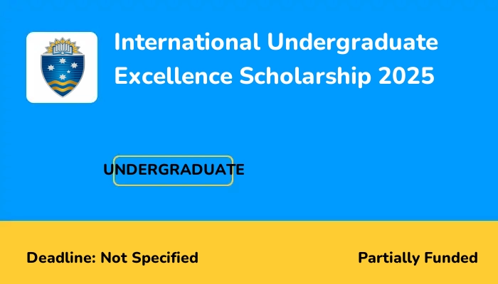 International Undergraduate Excellence Scholarship 2025