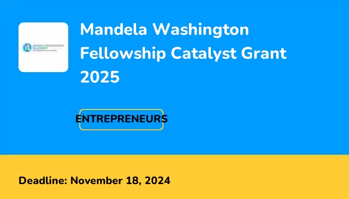 Mandela Washington Fellowship Catalyst Grant 2025