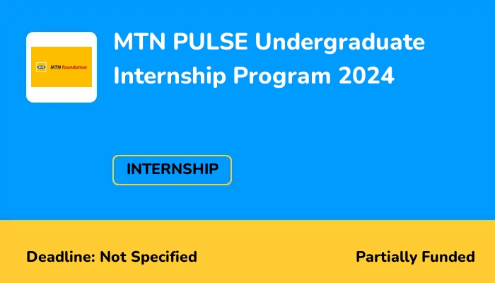 MTN PULSE Undergraduate Internship Program 2024