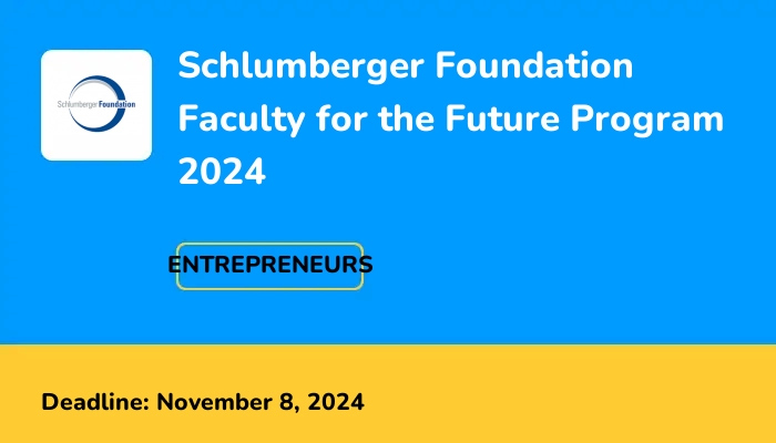 Schlumberger Foundation Faculty for the Future Program 2024