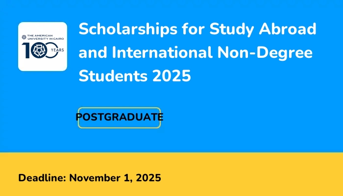 Scholarships for Study Abroad and International Non-Degree Students 2025