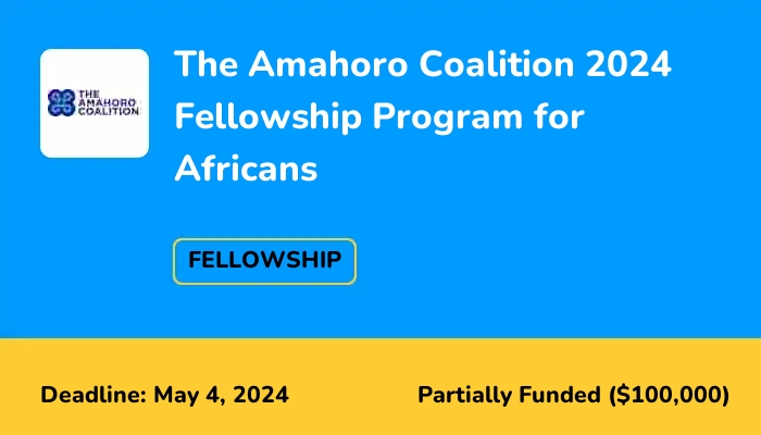 The Amahoro Coalition 2024 Fellowship Program for Africans