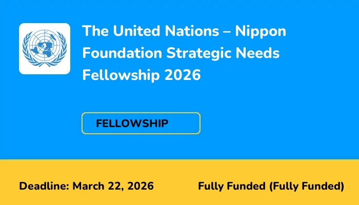 The United Nations - Nippon Foundation Strategic Needs Fellowship 2026