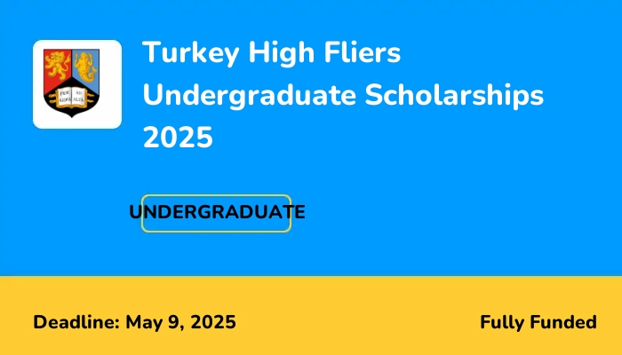 Turkey High Fliers Undergraduate Scholarships 2025