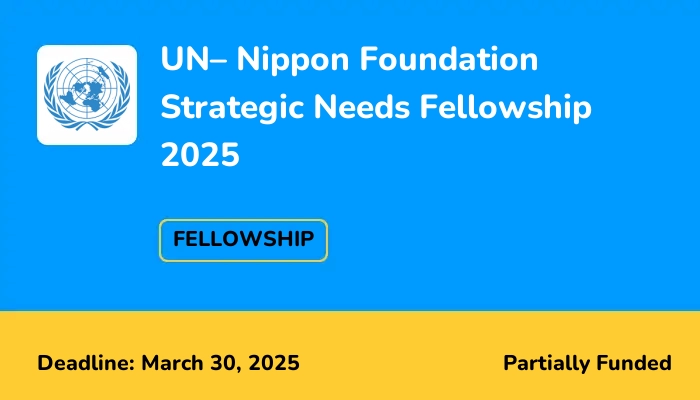 UN– Nippon Foundation Strategic Needs Fellowship 2025