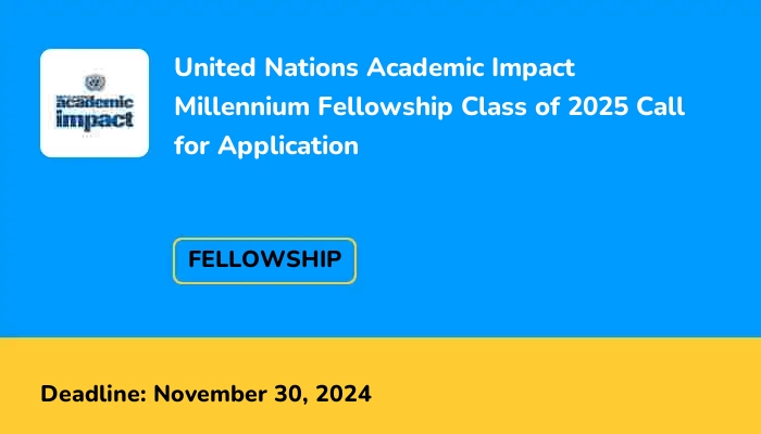 United Nations Academic Impact  Millennium Fellowship Class of 2025 Call for Application