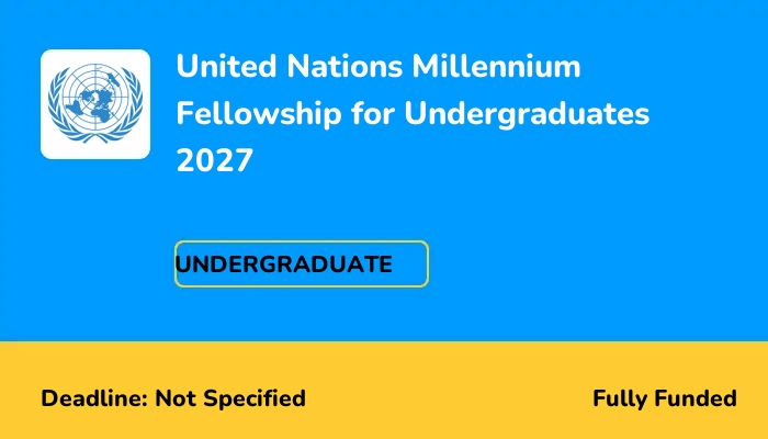United Nations Millennium Fellowship for Undergraduates 2027