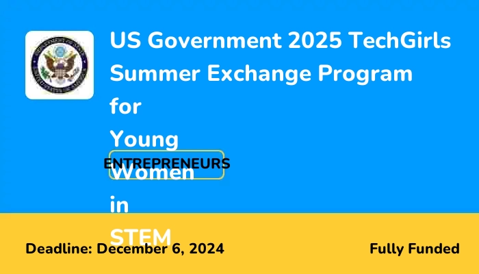 US Government 2025 TechGirls Summer Exchange Program for Young Women in STEM