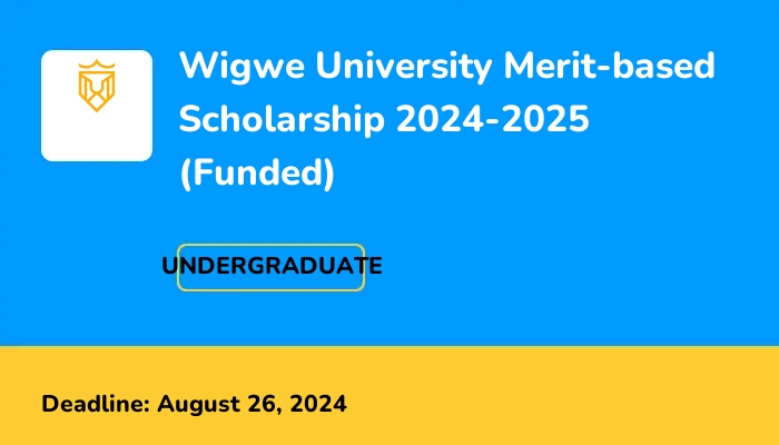 Wigwe University Merit-based Scholarship 2024-2025 (Funded)
