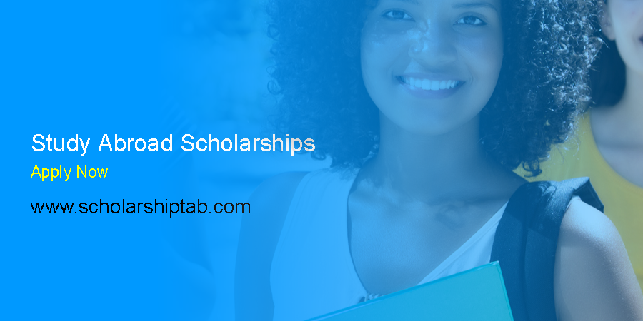 SDU 2023 Danish Government Scholarship for International Students